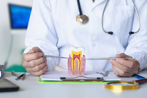 Best Emergency Root Canal Treatment in Enterprise, UT